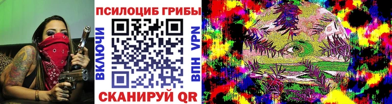 Галлюциногенные грибы Psilocybine cubensis  Купить где  Кяхта 
