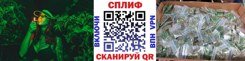 Канабис индика  Купить закладки  Кяхта 